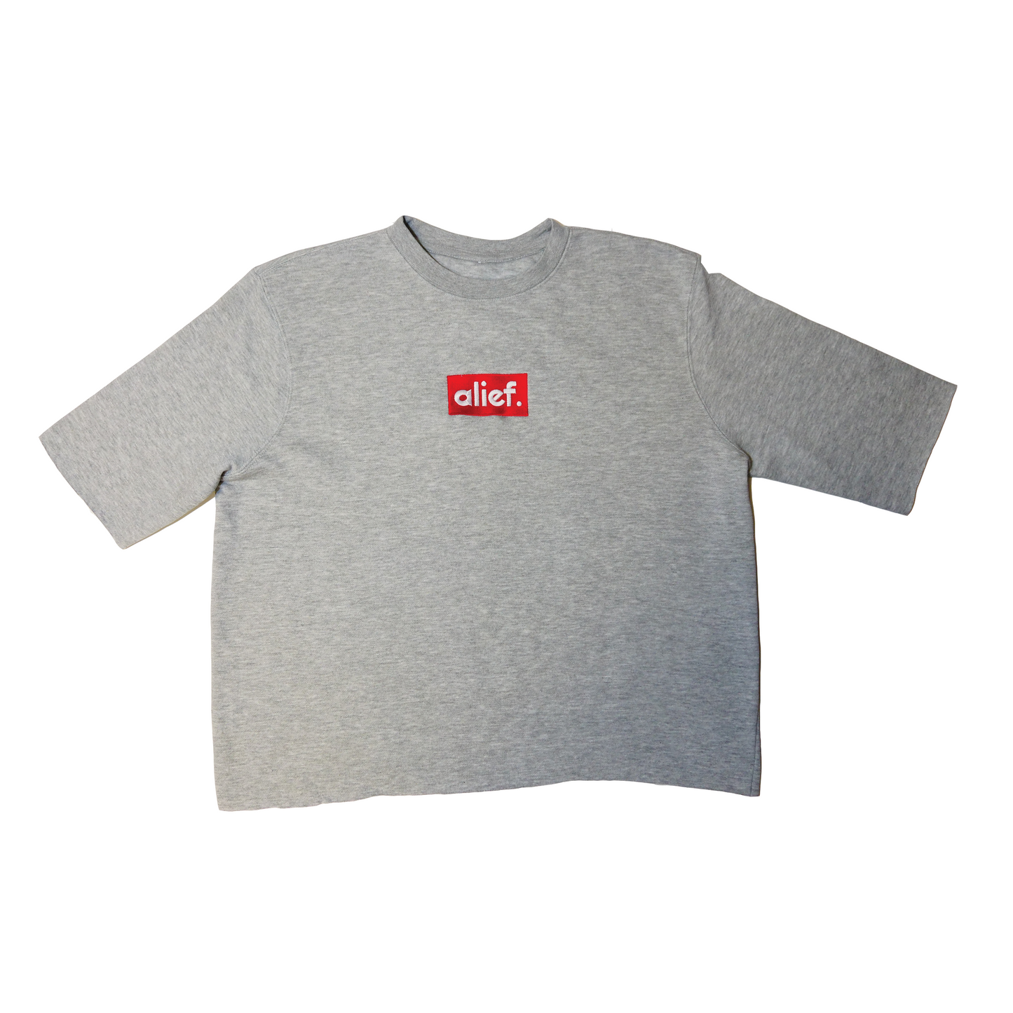 Alief Red Box Cropped Crewneck - Gray