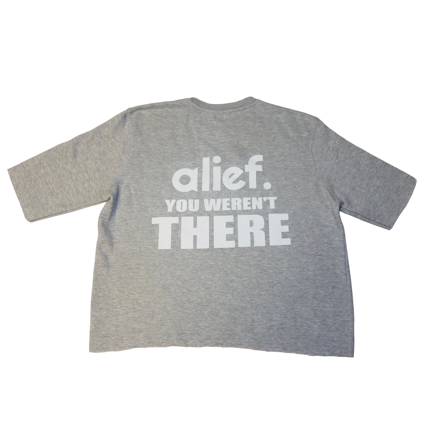 Alief Red Box Cropped Crewneck - Gray