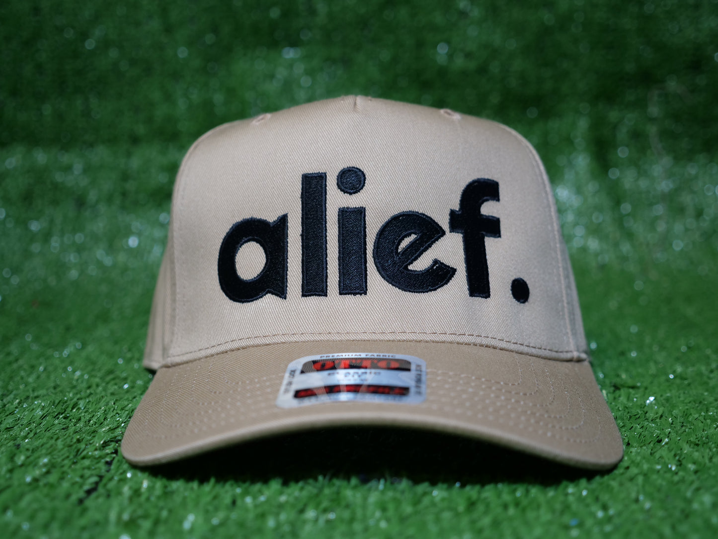 Bold Alief Snapback -Tan