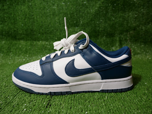 Nike Dunk Low - Valerian Blue
