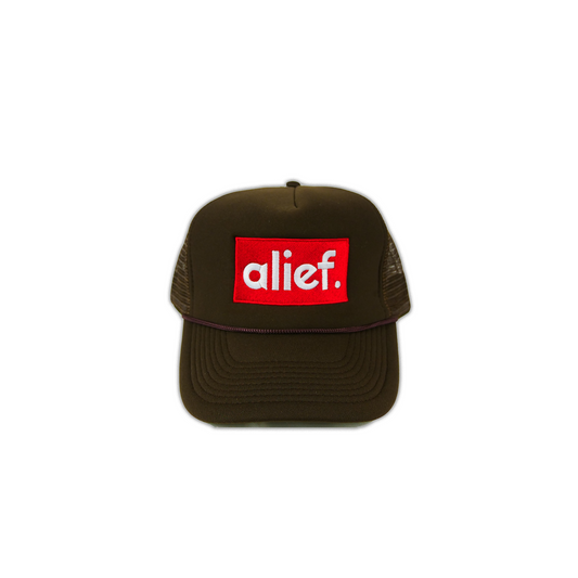 Alief Red Box Trucker Hat - Brown