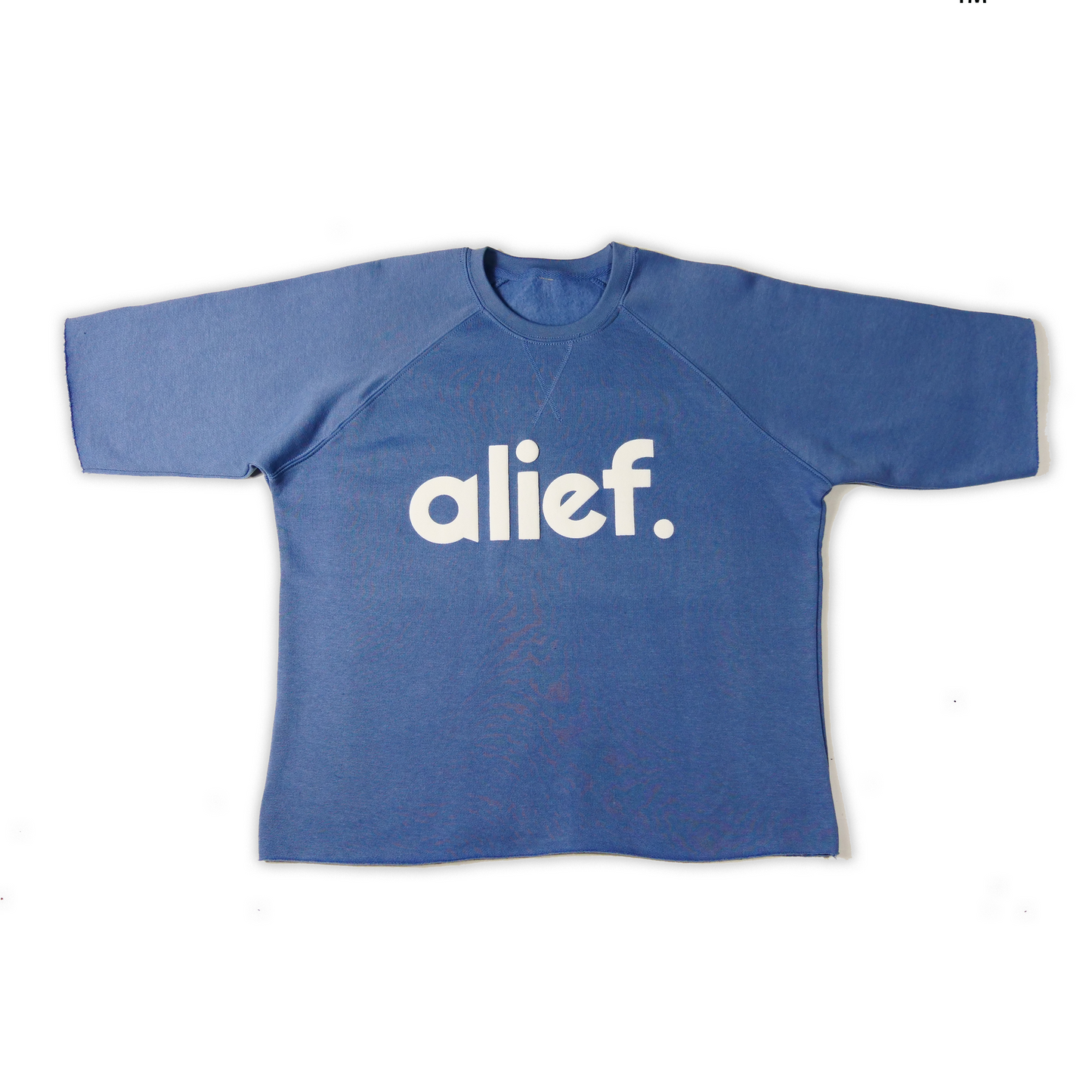 Puff Ink Bold Alief Crewneck Cut off - Powder Blue/White